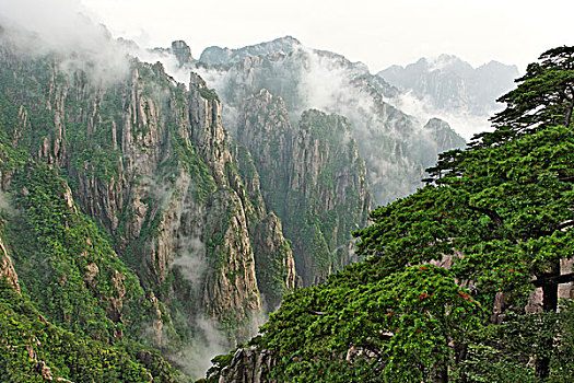 失忆药在哪可以买得到C1B8D97C5-18975